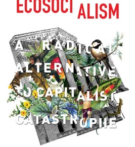 Ecosocialism: A Radical Alternative to Capitalist Catastrophe