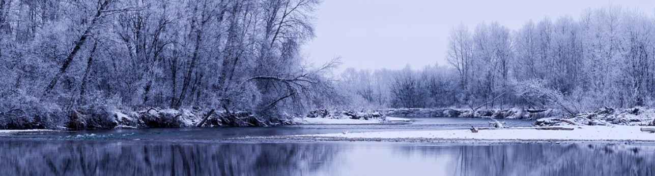Frozen winter lake