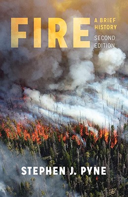 Fire: a brief history