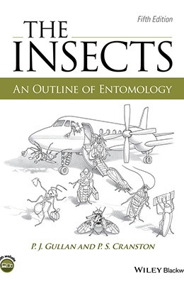 The Insects: An Outline of Entomology 