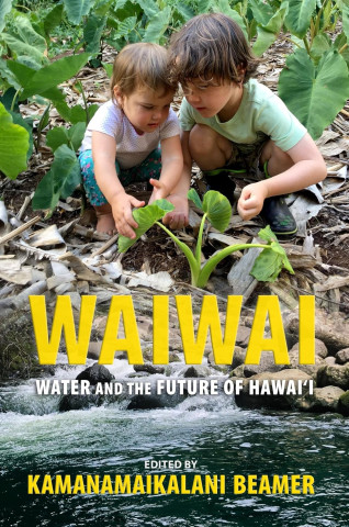 Children tending plants in a lush garden scene above a serene river. Text: "Waiwai: Water and the Future of Hawai'i" edited by Kamanamaikalani Beamer.