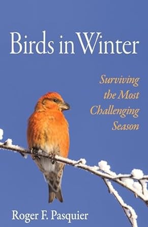 Birds in Winter: Surviving the Most Challenging Season