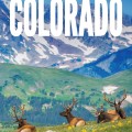 Cover of "The Nature of Colorado" field guide showing elk resting in a vibrant, wildflower-dotted meadow with majestic snow-capped mountains behind.