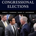 A visual representation of the dynamics and strategies involved in congressional elections and their political implications.