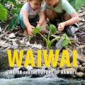 Children tending plants in a lush garden scene above a serene river. Text: "Waiwai: Water and the Future of Hawai'i" edited by Kamanamaikalani Beamer.