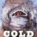 Cold: Three Winters at the South Pole