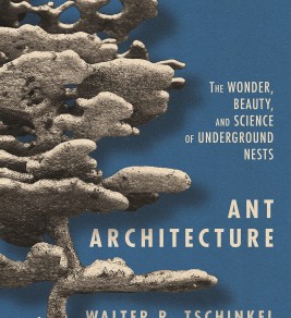 Ant architecture: the wonder, beauty, and science of underground nests Ant architecture: the wonder, beauty, and science of underground nests