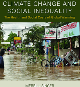 Climate change and social inequality: the health and social costs of global warming